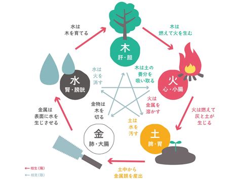 五行 木 性質|四柱推命【木】の五行とは？性格や運勢、恋愛、仕事、相性を解。